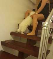 Akdeniz Escort Bayanlar: Sizinle Tanışmak İçin Sabırsızlanan Sıradışı Bir Güzellik